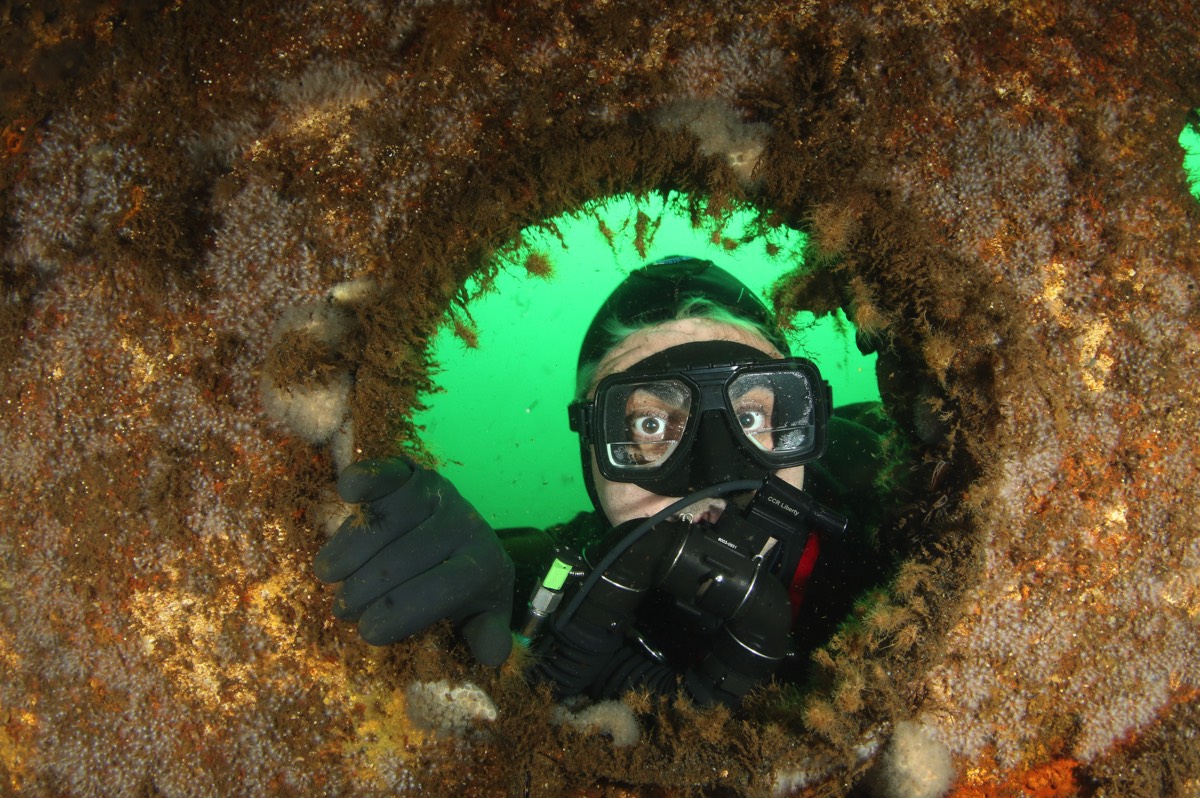 Stacks Image 181