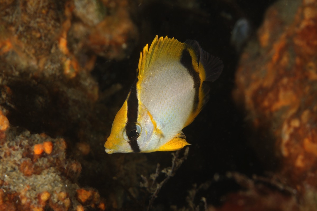 Stacks Image 183