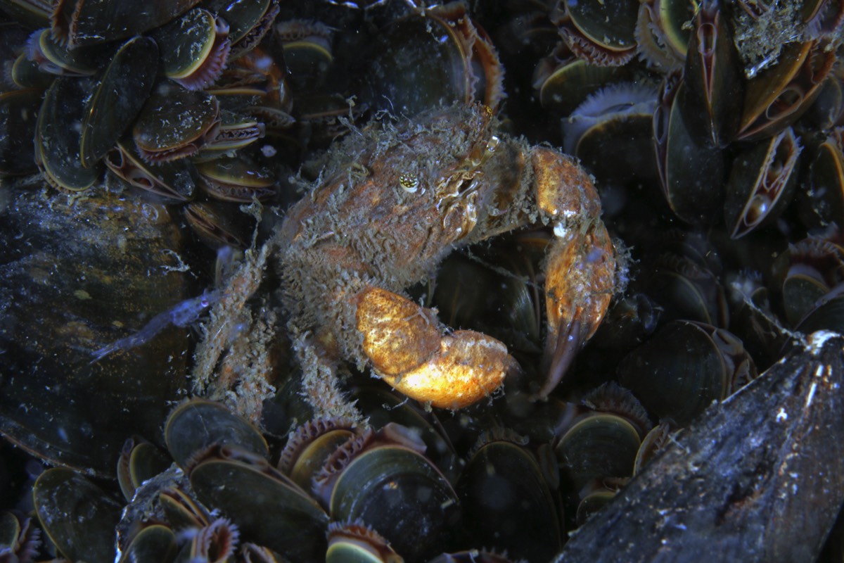 Stacks Image 175