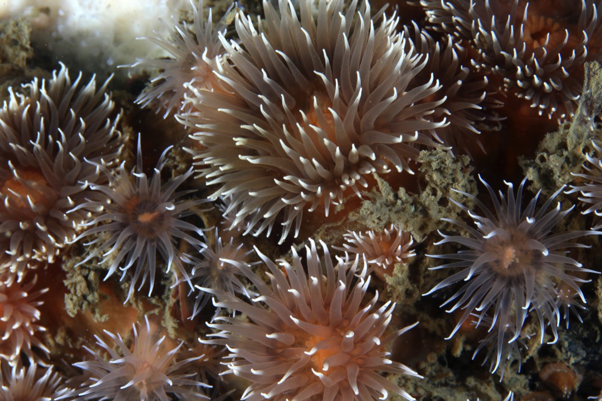 Stacks Image 179